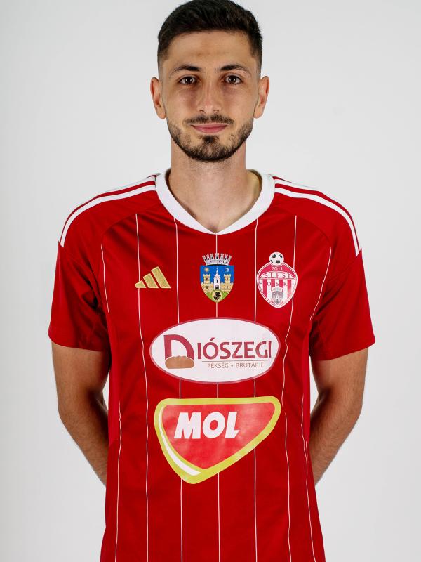 6. PĂUN NICOLAE IONUȚ